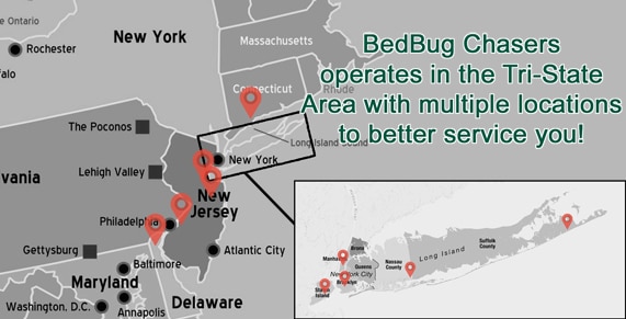Non-toxic Bed Bug treatment Stockertown PA, bugs in bed Stockertown PA, kill Bed Bugs Stockertown PA